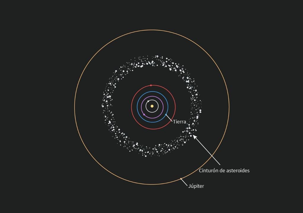 distribución y ubicación cinturón de asteoroides Esta es la posición del cinturón de asteroides dentro de las órbitas de Júpiter y Marte. Crédito: Rubin Observatory/NSF/AURA