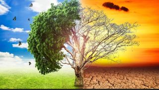 Huelga mundial por el clima para el 27 de septiembre de 2019