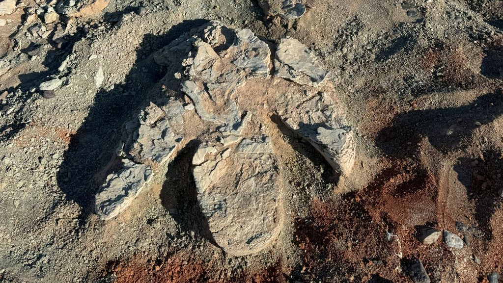 Se descubre una zona de 13 huellas que abarcan 24 metros: primer informe del equipo de la expedición conjunta de la Academia de Ciencias de Mongolia y la Universidad de Ciencias de Okayama de 2024.