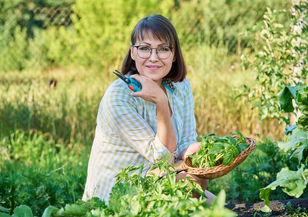 Mujer con tijeras de cosecha junto a su huerta de hierbas