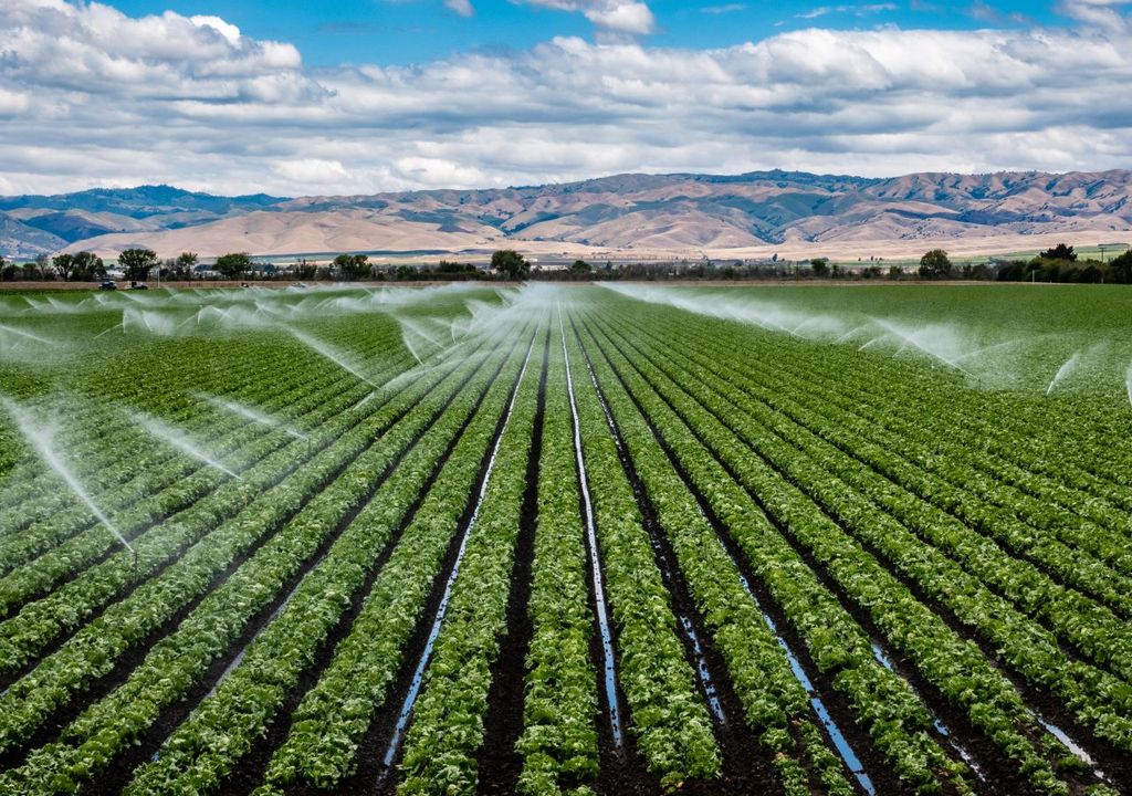 A farm being irrigated in California, US