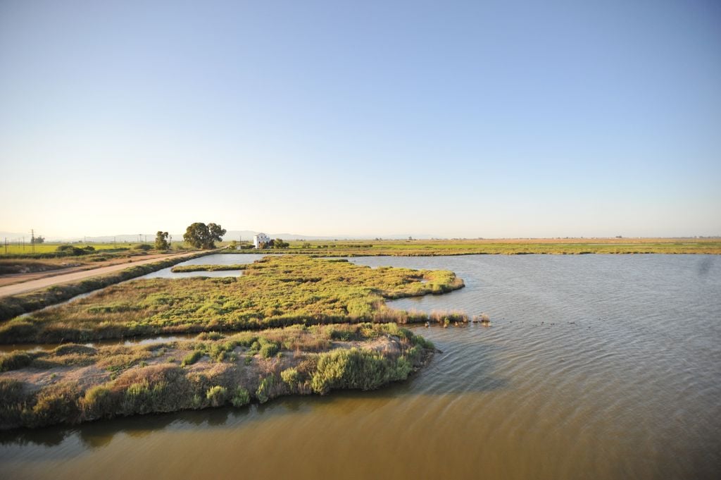 Image du delta de l'Èbre. / Lucas Melcón, CSIC Comunicación