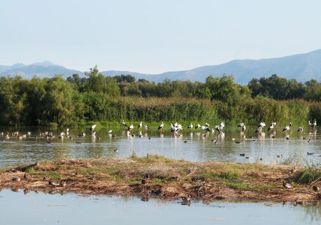 Humedales