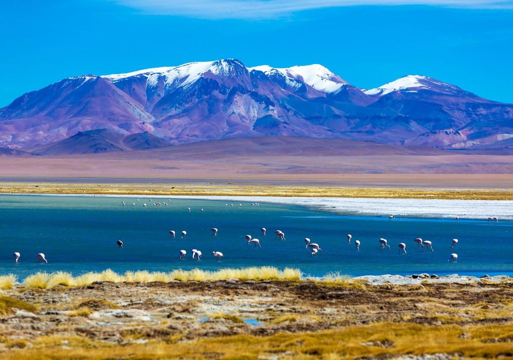 Salar de Atacama Salar de Atacama