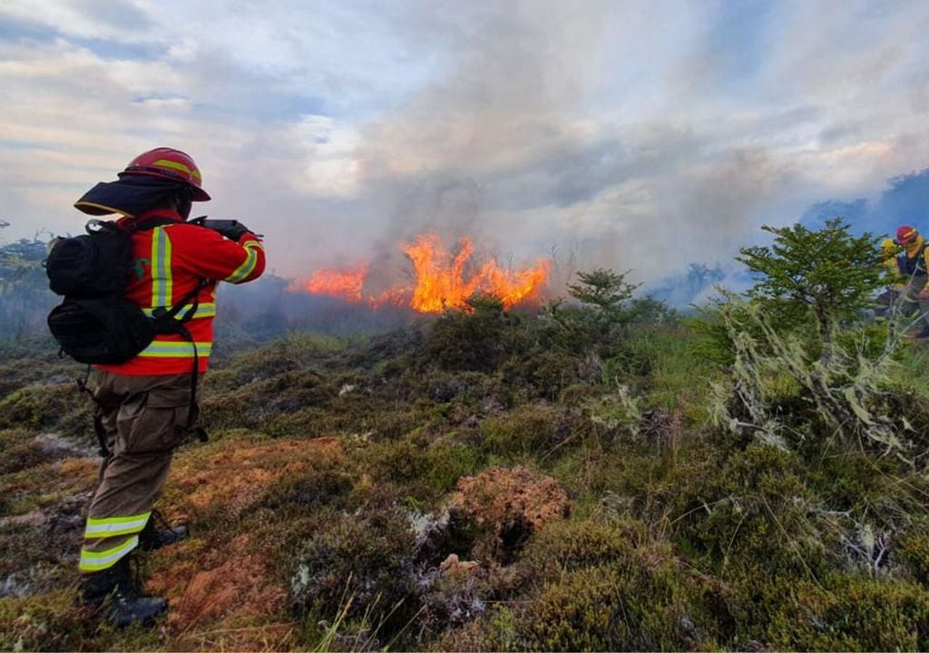 La exposición prolongada al humo y al material particulado fino capaz de penetrar profundamente en los pulmones eleva el riesgo de enfermedades respiratorias y cardíacas, saturando una red asistencial ya en tensión. Créditos de imagen: CONAF.