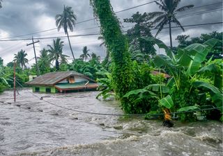 ¿Hay relación entre el cambio climático y los ciclones Grace y Nora?