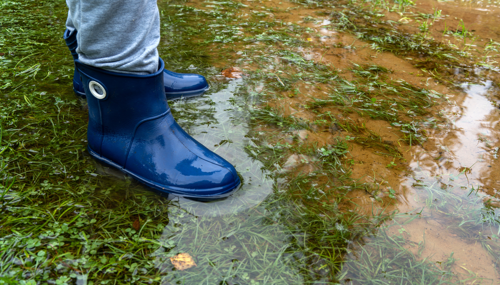 Las lluvias torrenciales arrastran la capa fértil del suelo, un recurso delicado que tarda muchísimo en recuperarse de manera natural.