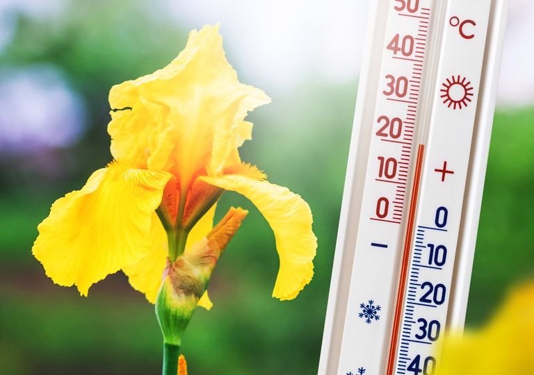 Sonne und 20 Grad Sonne und 20 Grad