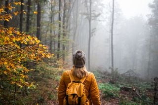 Hurricane Helene's impacts have forced many avid hikers off the trail due to extreme devastation