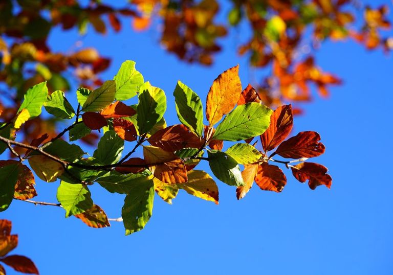 Weiterhin goldener Oktober? Weiterhin goldener Oktober?