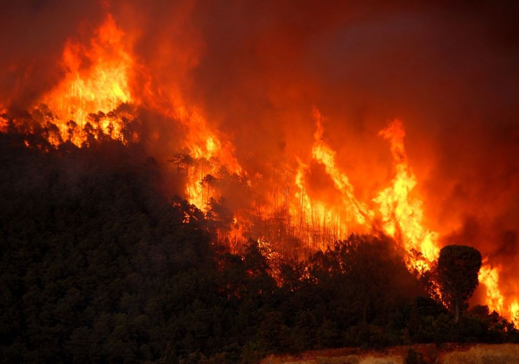 Incendi in California.