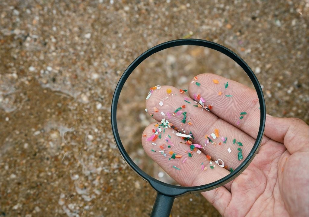 Le microplastiche sono frammenti spesso così piccoli da non essere visibili a occhio nudo