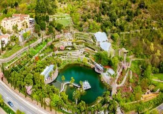 I 5 giardini botanici italiani che nascondono vere e proprie giungle ricche di specie uniche