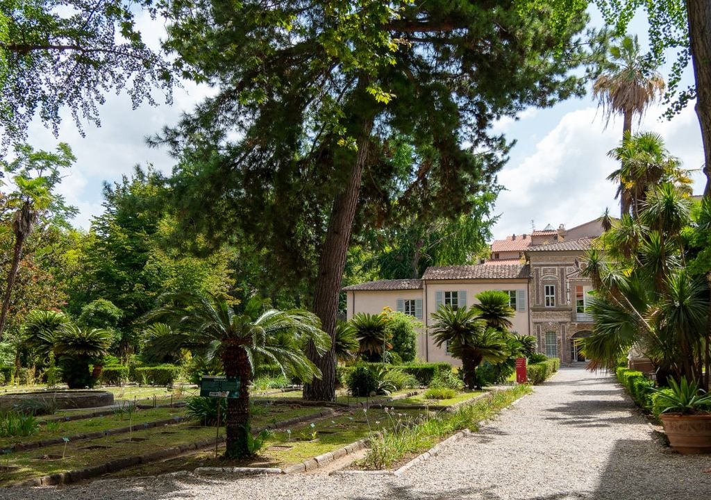 Il cinquecentesco orto botanico di Pisa, tra i più antichi al mondo
