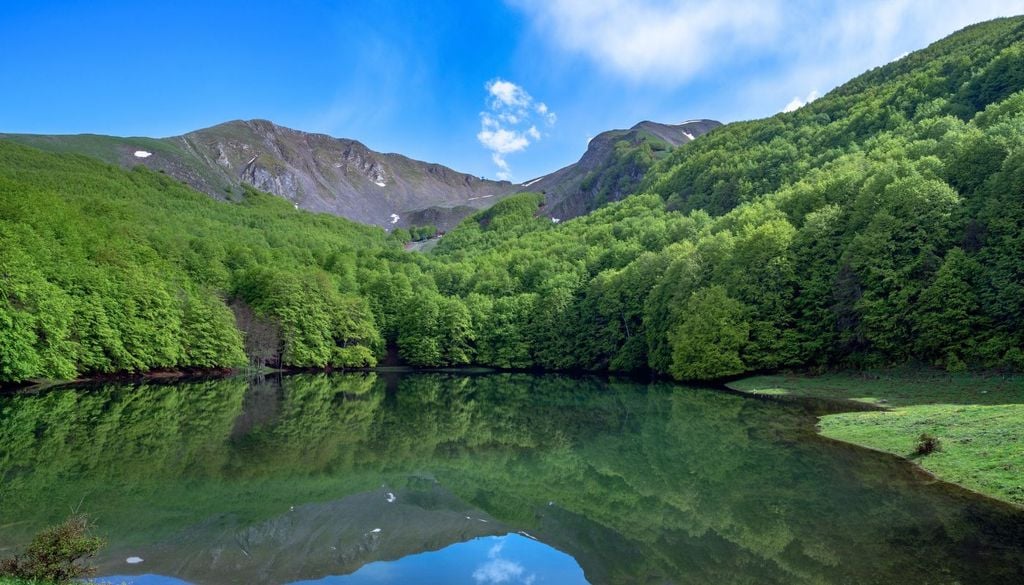Il Lago Laudemio immerso nella vegetazione dell'area protetta