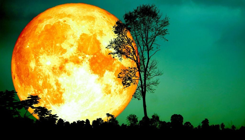I nomi dei 12 pleniluni dell'anno solare: un richiamo a clima, natura, piante e tradizioni agricole