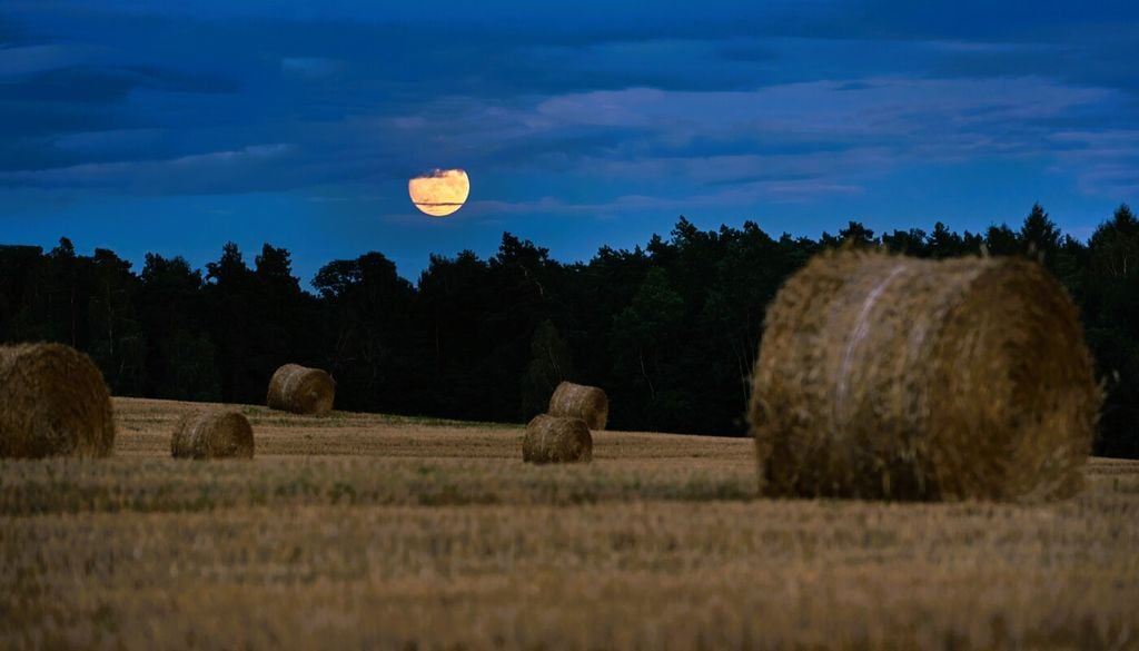 Settembre: la Luna del Raccolto