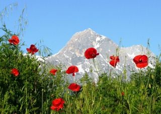 I parchi nazionali italiani: ecco quali sono