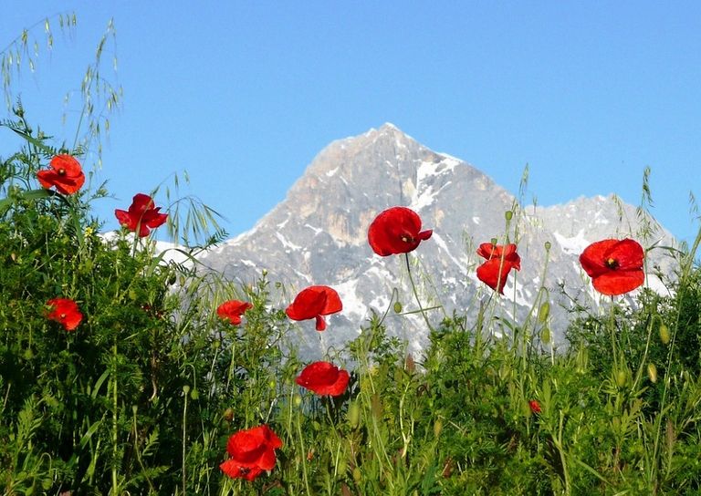 gran-sasso-montagna gran-sasso-montagna