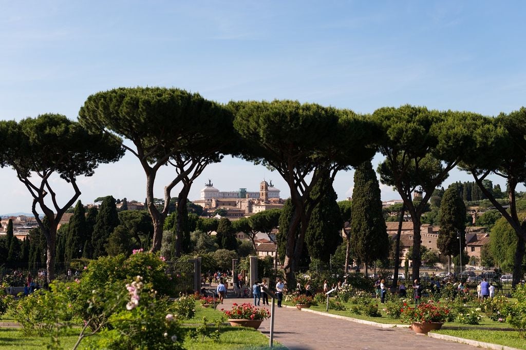 alberi a roma Pini a Roma, altra città dove si è visto come la presenza di ville e parchi raffresca la città sensibilmente.
