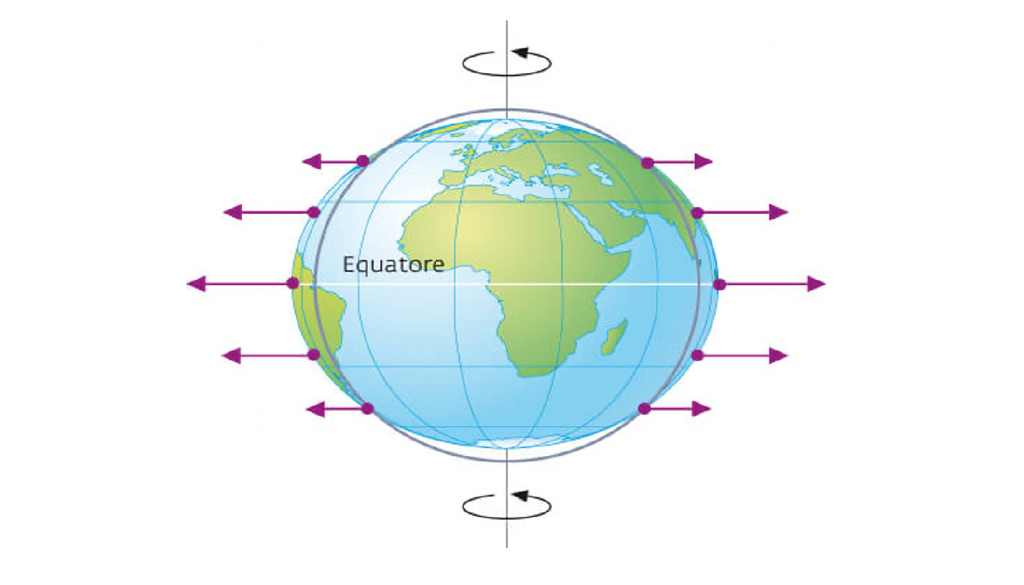 Schiacciamento A causa della rotazione, le regioni equatoriali sono soggette ad una maggiore forza centrifuga rispetto a quelle polari, con il risultato che da sfera la Terra assume la forma con schiacciamento ai poli.