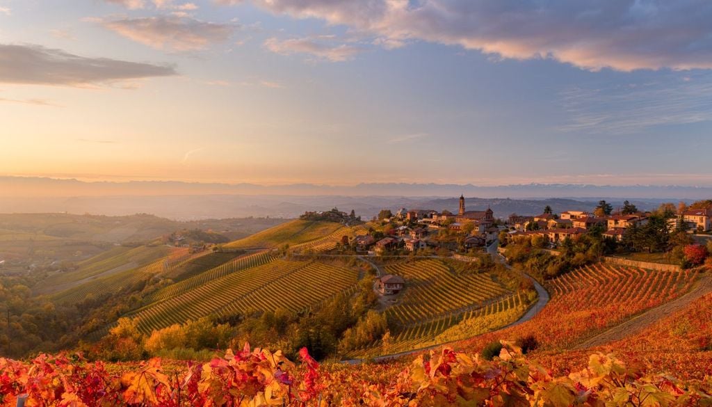Le colline delle Langhe, dove nascono alcuni dei migliori vini d'Italia