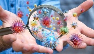 I virus si spiano a vicenda e comunicano fra loro