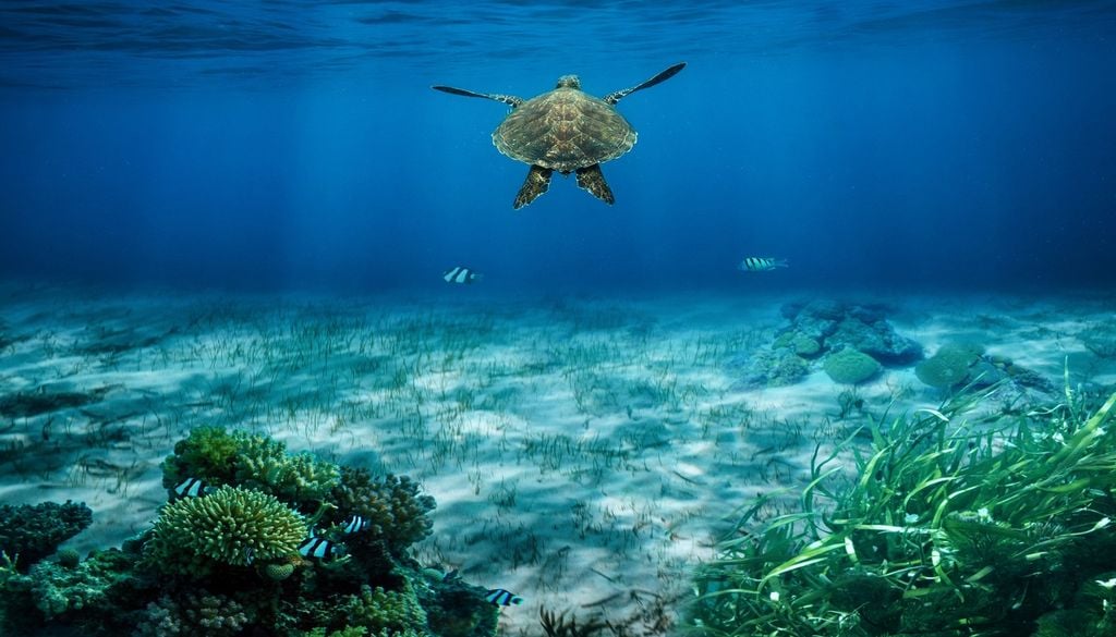 L'IA, un atout pour la préservation de la faune marine ? L'IA, un atout pour la préservation de la faune marine ?