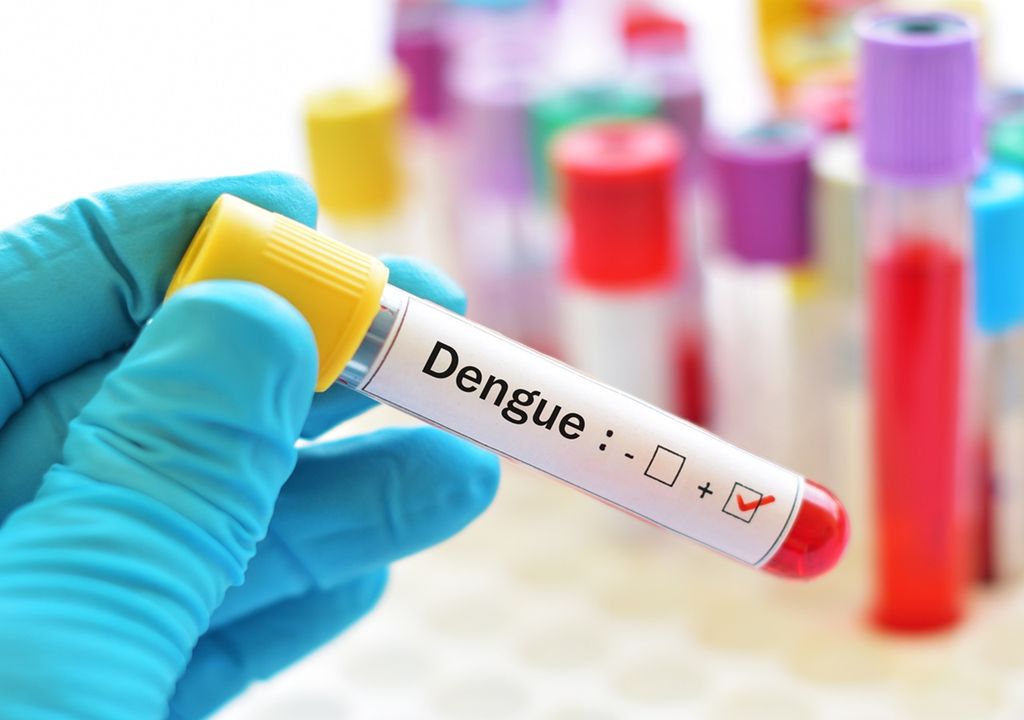 dengue algoritmo IA mosquito dengue algoritmo IA mosquito