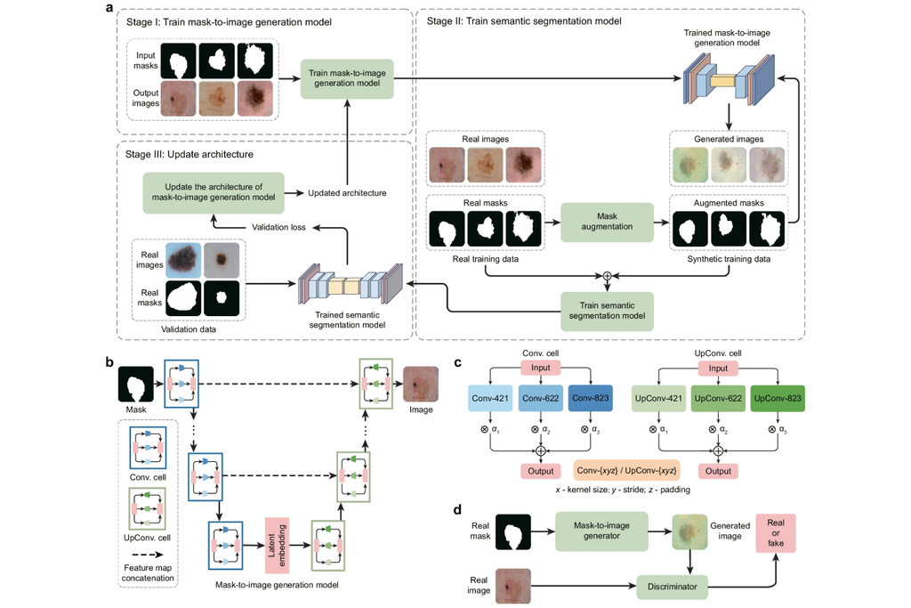 Nova arquitetura proposta por pesquisadores da Universidade da Califórnia exige menos dados e mais desempenho na detecção de doenças. Crédito: Zhang et al. 2025