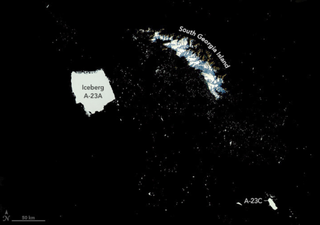 El iceberg antártico A-23A, actualmente el más grande del mundo, sigue varado junto a la isla Georgia del Sur 
