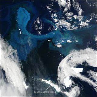 Icebergs cerca de las islas del océano Atlántico Georgia del Sur