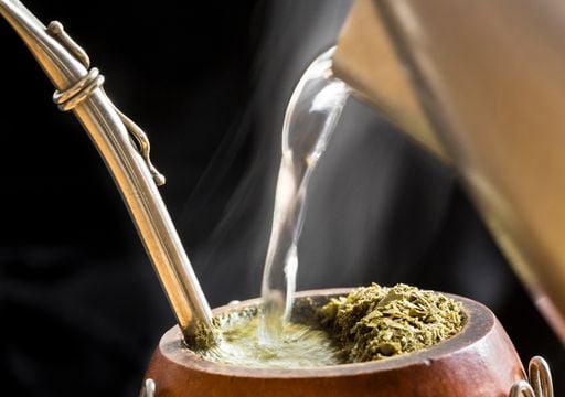 Ideales para el mate: tres arom&aacute;ticas digestivas y relajantes que pod&eacute;s cultivar en casa