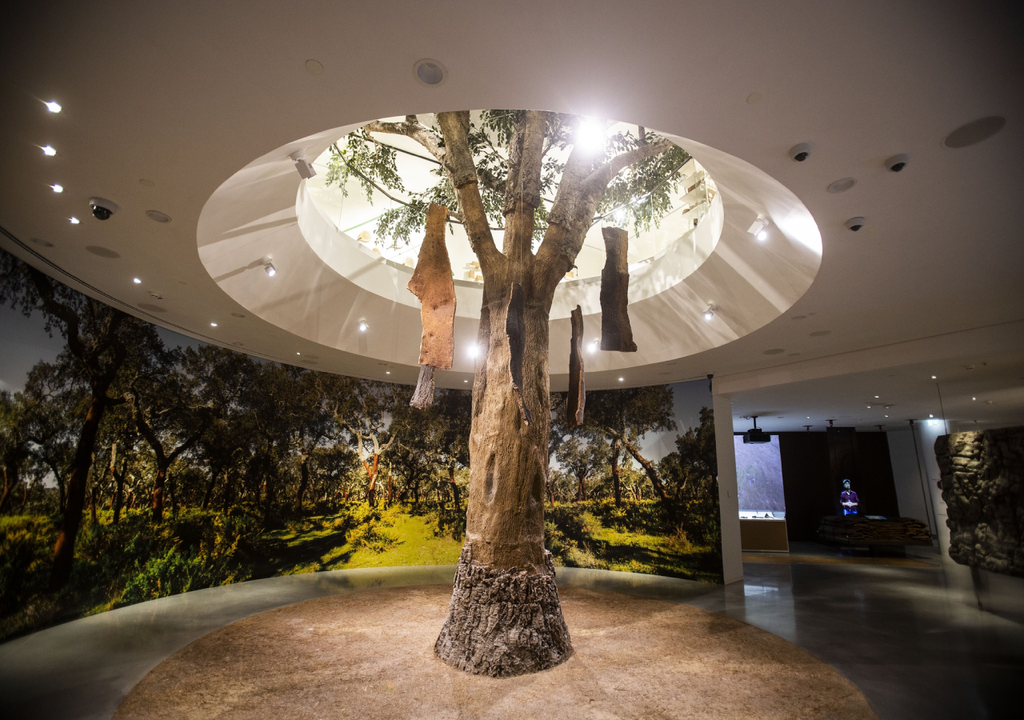 No museu da cortiça do WOW, descubra um dos maiores símbolos de Portugal numa experiência interativa, perfeita para explorar a dois. Fonte: WOW