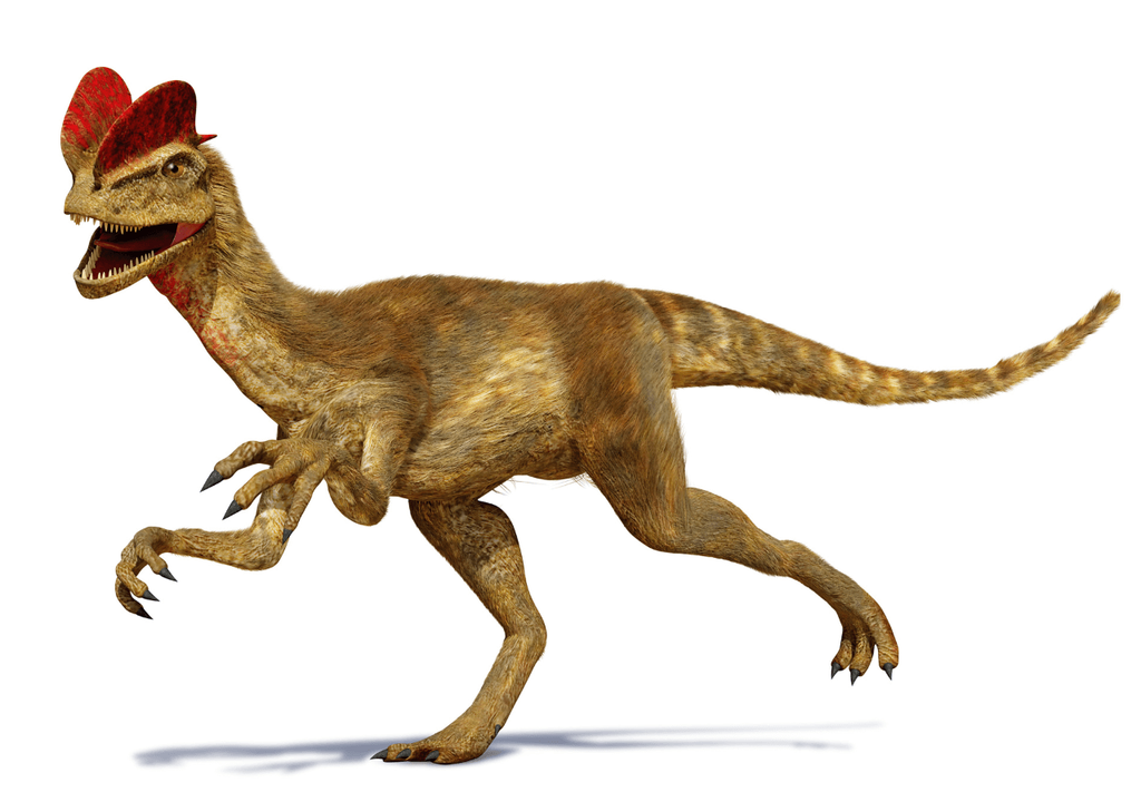 Dilophosaurus Dilophosaurus