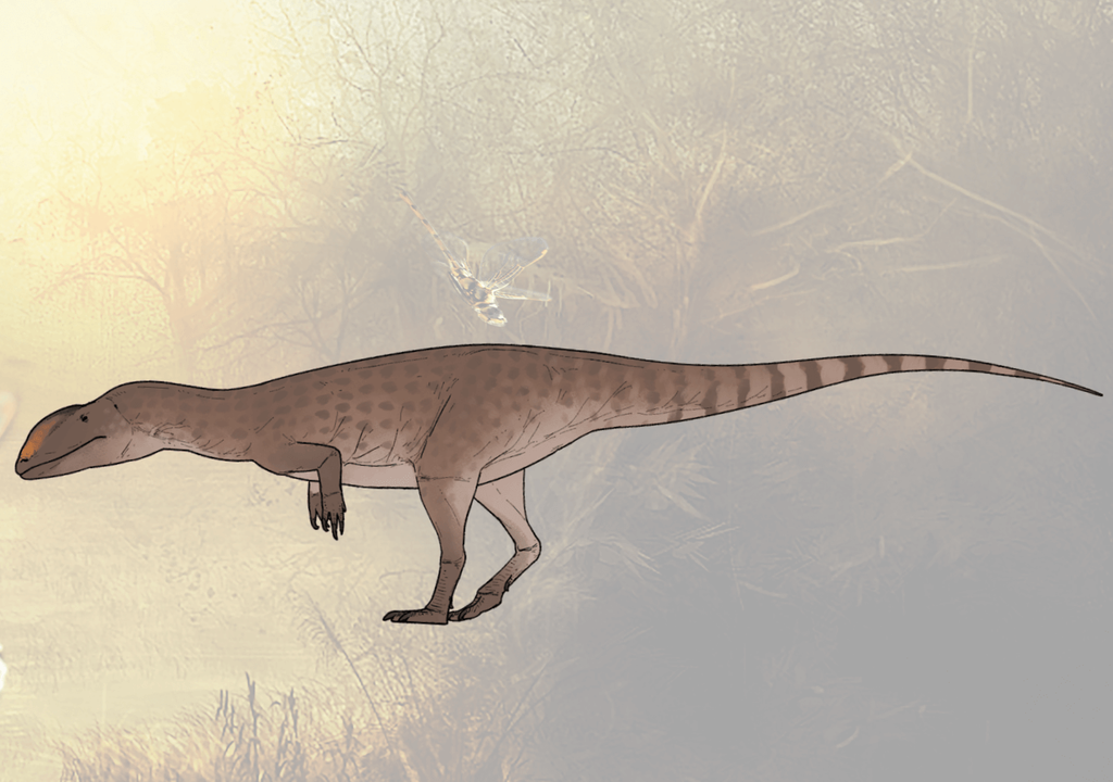 Newtonsaurus cambrensis Newtonsaurus cambrensis