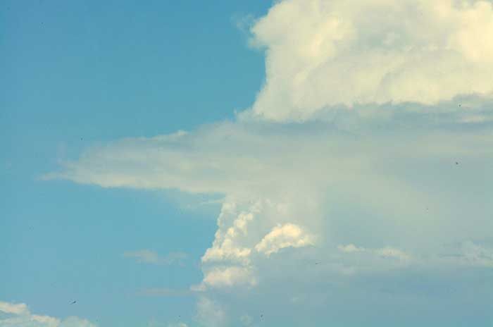 Identificando, Localmente, La Estructura Vertical De La Troposfera: Cumulonimbus Calvus Y Con Pileus