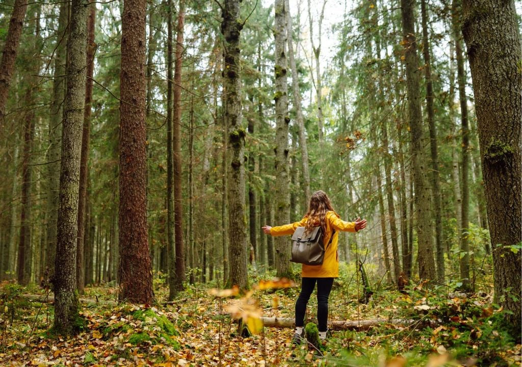 forest bathing I bagni di foresta apportano benefici reali al corpo e alla mente