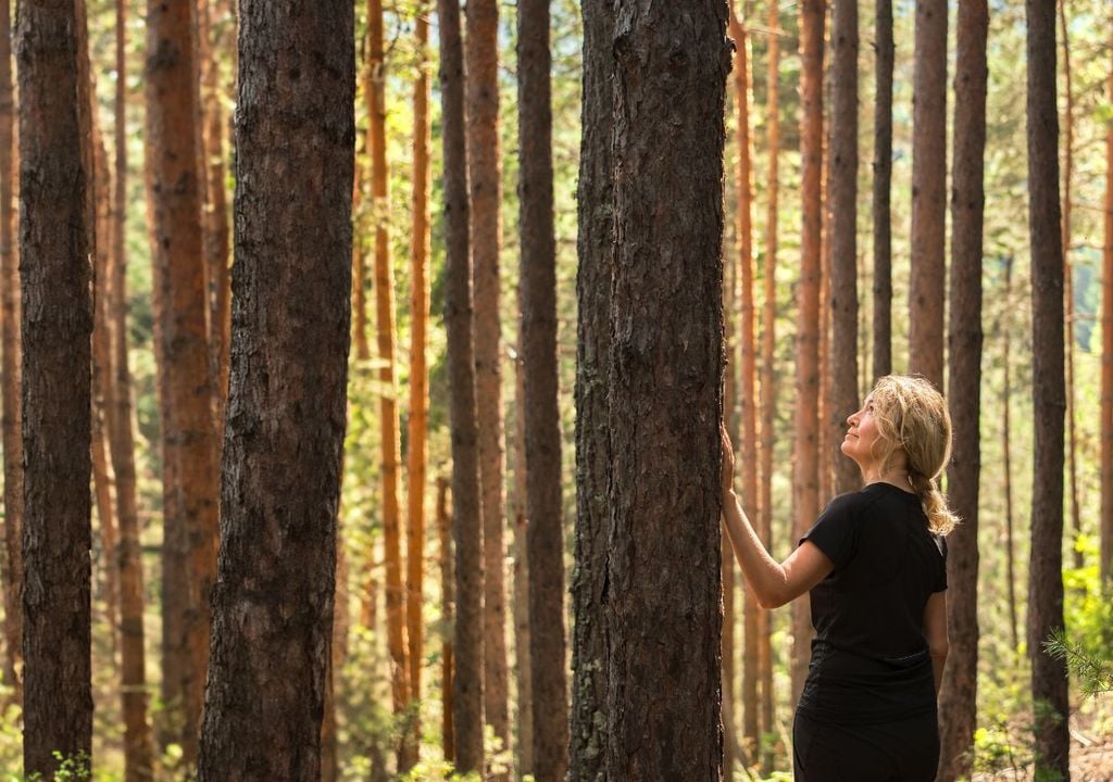 bagni di foresta Toccare la corteccia degli alberi o le foglie è una stimolazione tattile che arricchisce l'esperienza del forest bathing