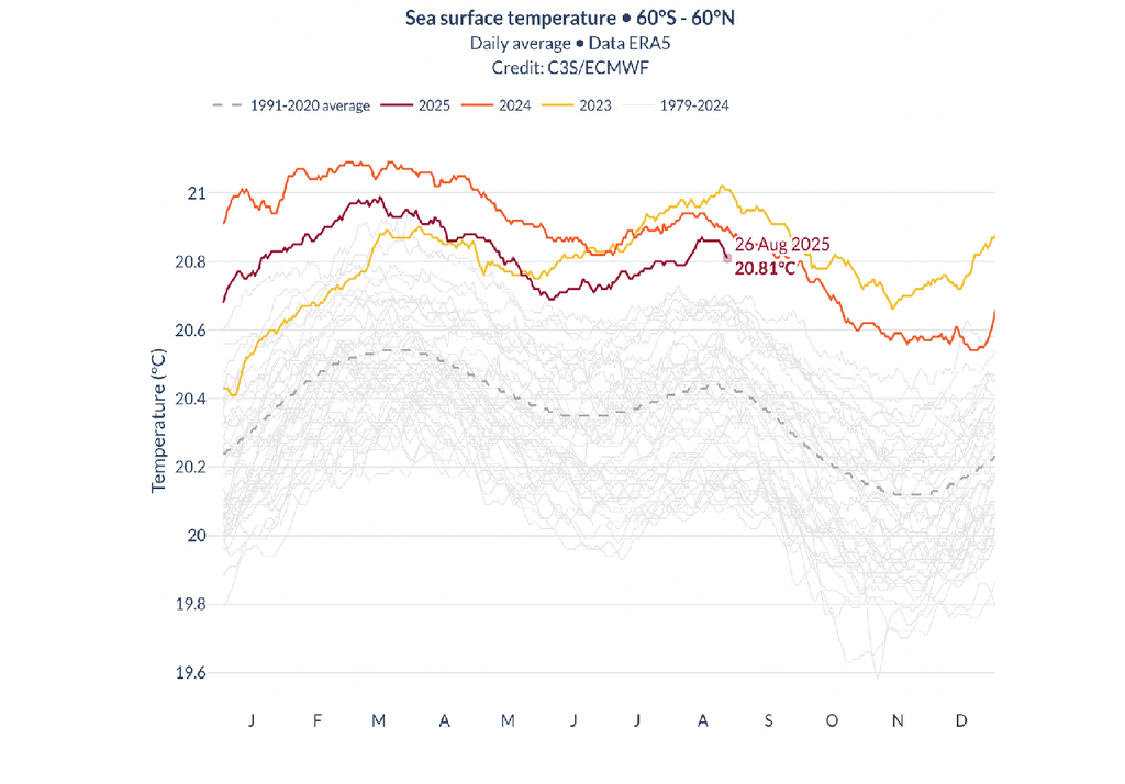 Temperatura superficie oceani agosto 2025