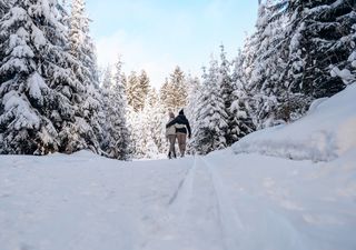 Luca Lombroso: il blocco Scandinavo condizionerà il tempo nella seconda settimana di febbraio, sorprese a San Valentino?