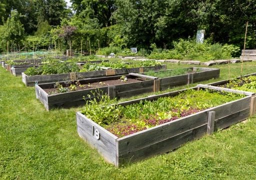 Il boom degli orti urbani nascosti: ecco come stanno cambiando lo skyline di queste citt&agrave; italiane