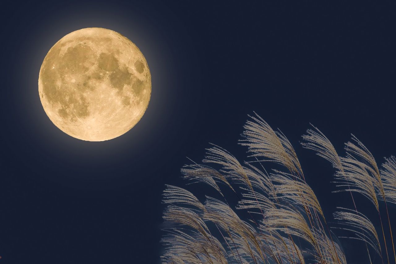 L'ultima Luna piena del 2024 è qui qual è il calendario lunare del