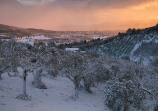 Meteo, il Carnevale si veste di bianco al centrosud: neve e freddo!