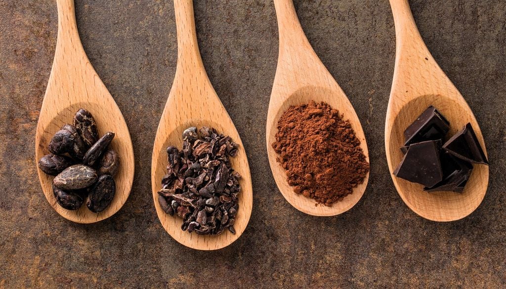 Produce teobromina, una sostanza caratteristica del cacao