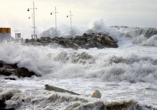 Effetto inatteso del ciclone Harry: scienziati maltesi scoprono un sorprendente aumento della biodiversit&agrave; marina
