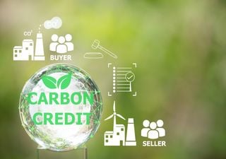 Il complesso mondo del mercato del carbonio: cosa sono e come funzionano le quote e le compensazioni di CO2?