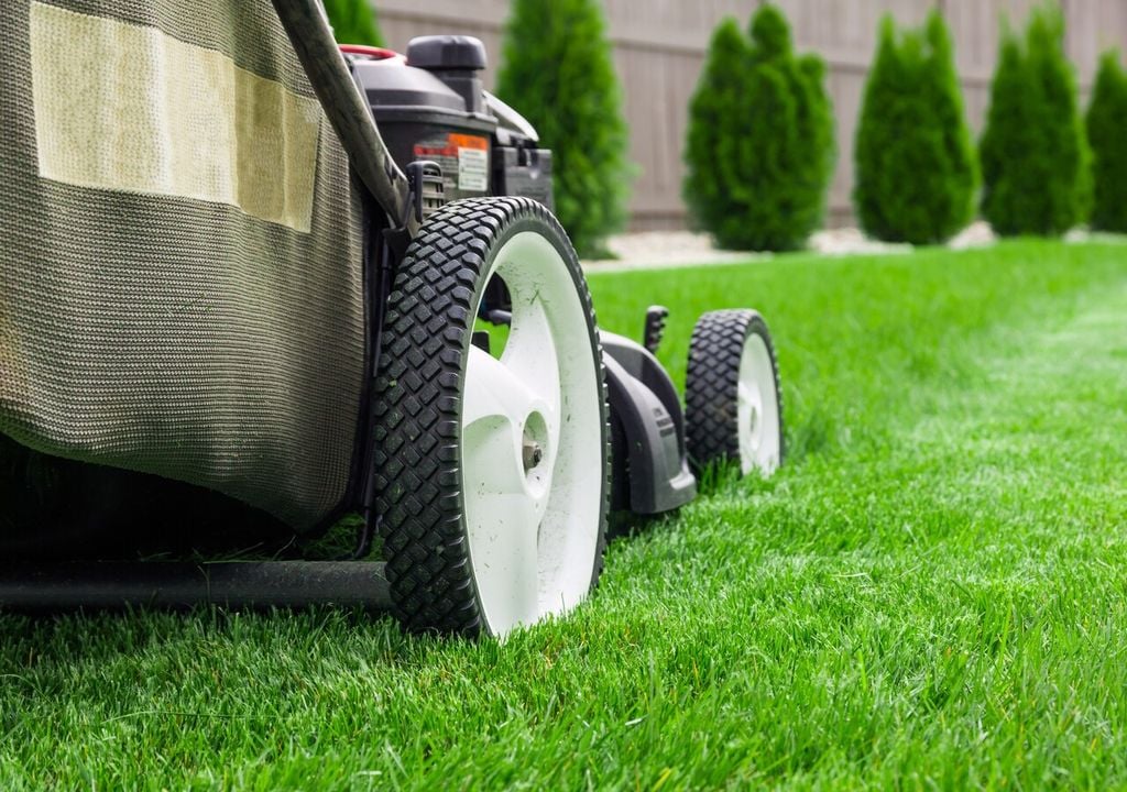 Quando tagliamo l'erba del giardino e portiamo gli sfalci altrove il suolo del giardino si impoverisce