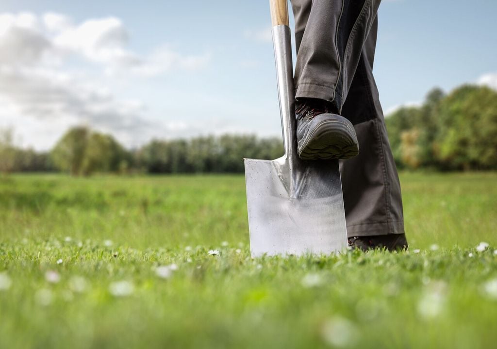 La compattazione del suolo influisce negativamente sul suo stato di salute: è quindi meglio limitare il calpestamento e l'uso frequente di attrezzi e interventi invasivi