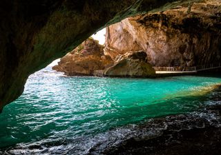 Il delicato habitat delle grotte marine, culla di biodiversità per tantissime specie marine